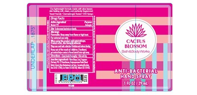 Abhs Cactus Blossom (Abhs Cactus Blossom)